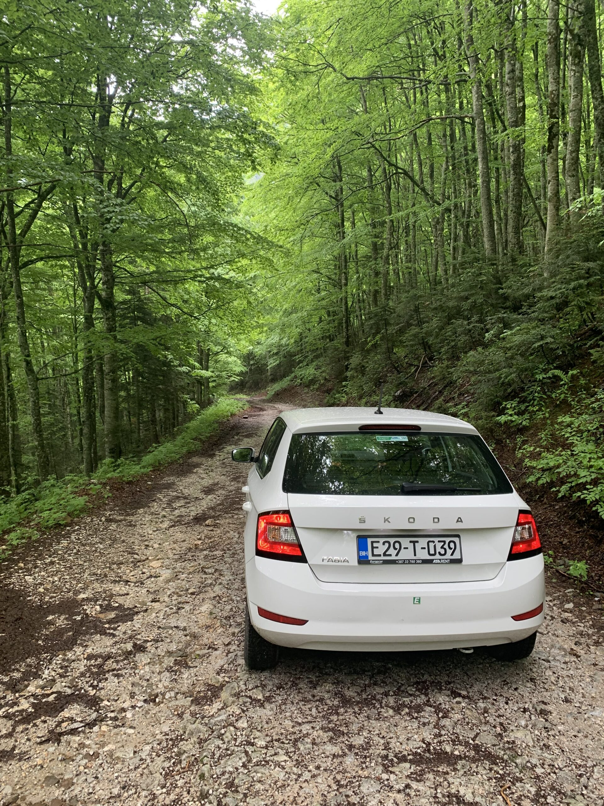Awful Road Up To Prijevor In Sutjeska National Park