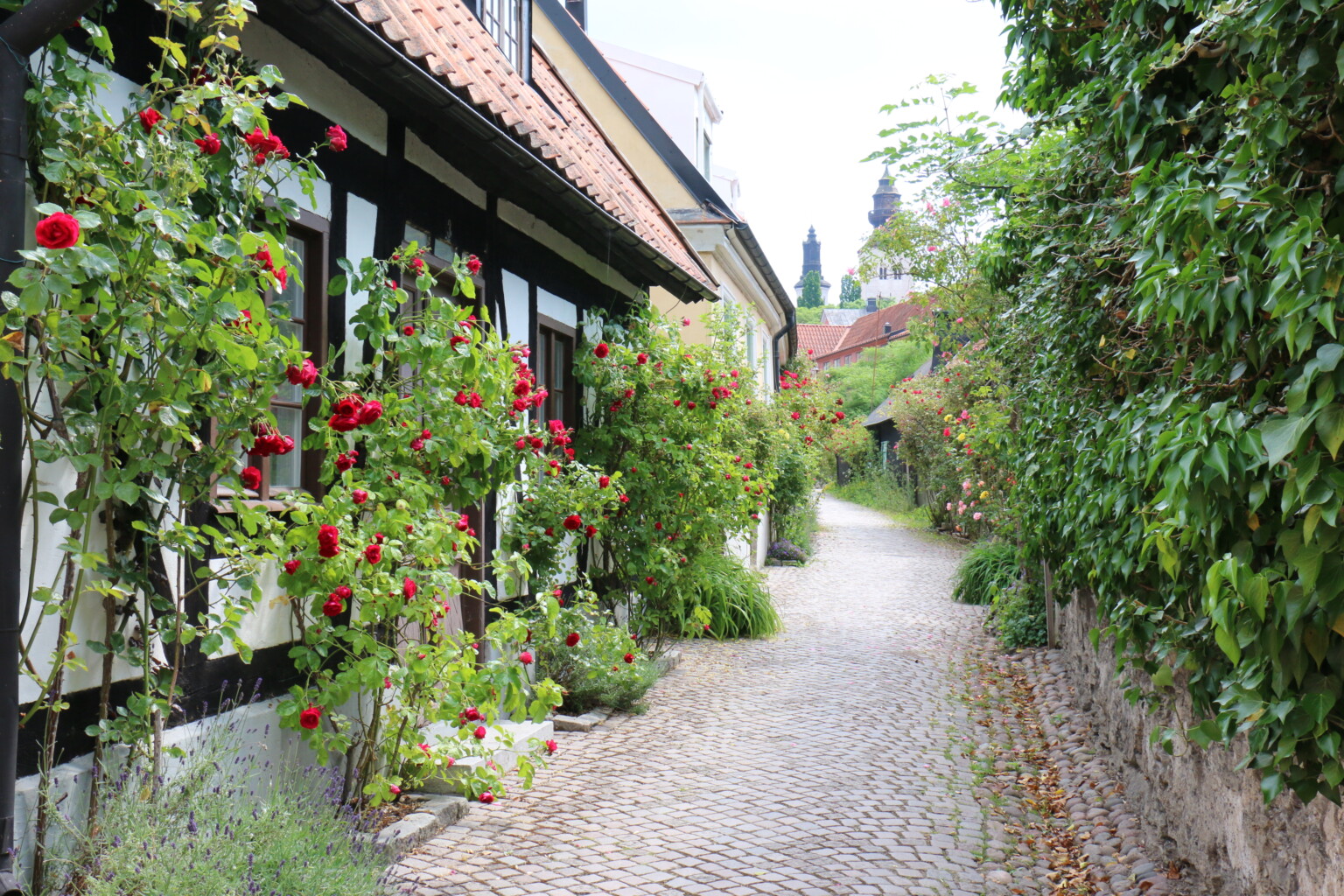 Visby, Gotland